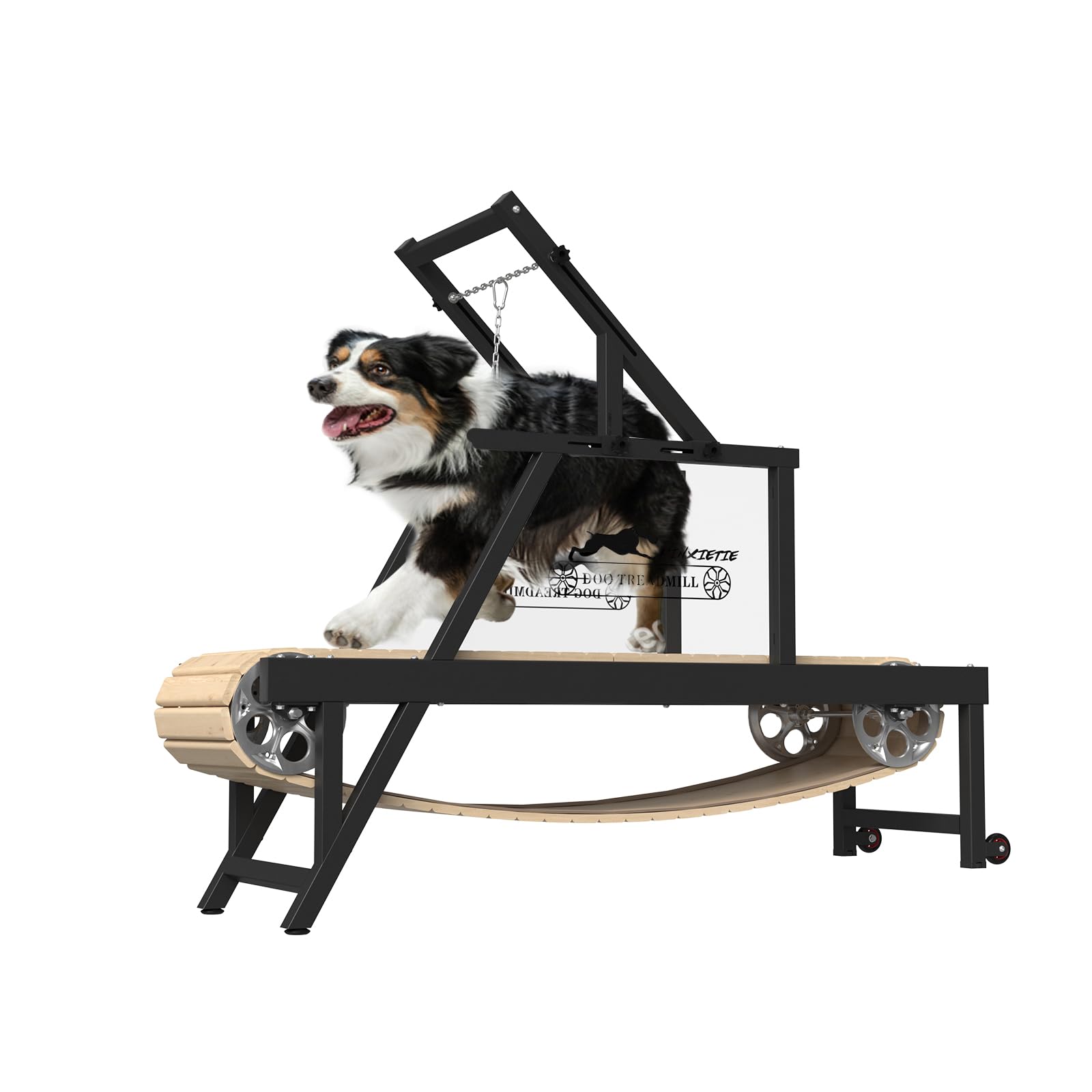 doggy Syedee Dog Treadmill for Medium Dogs, Dog Slatmill for Healthy